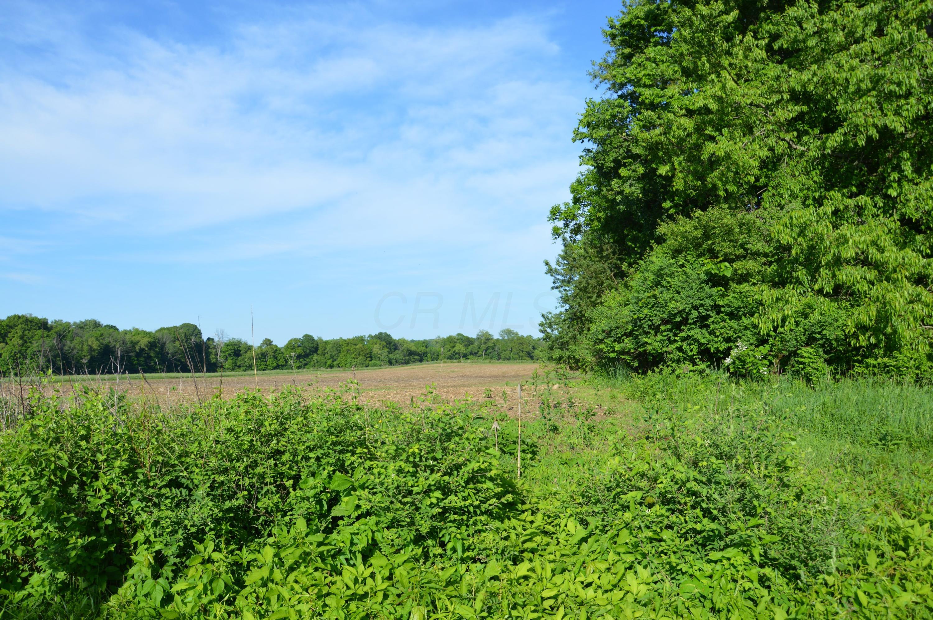 5835 Lake Drive Road Newark, OH 43056 - Photo 5 of 10