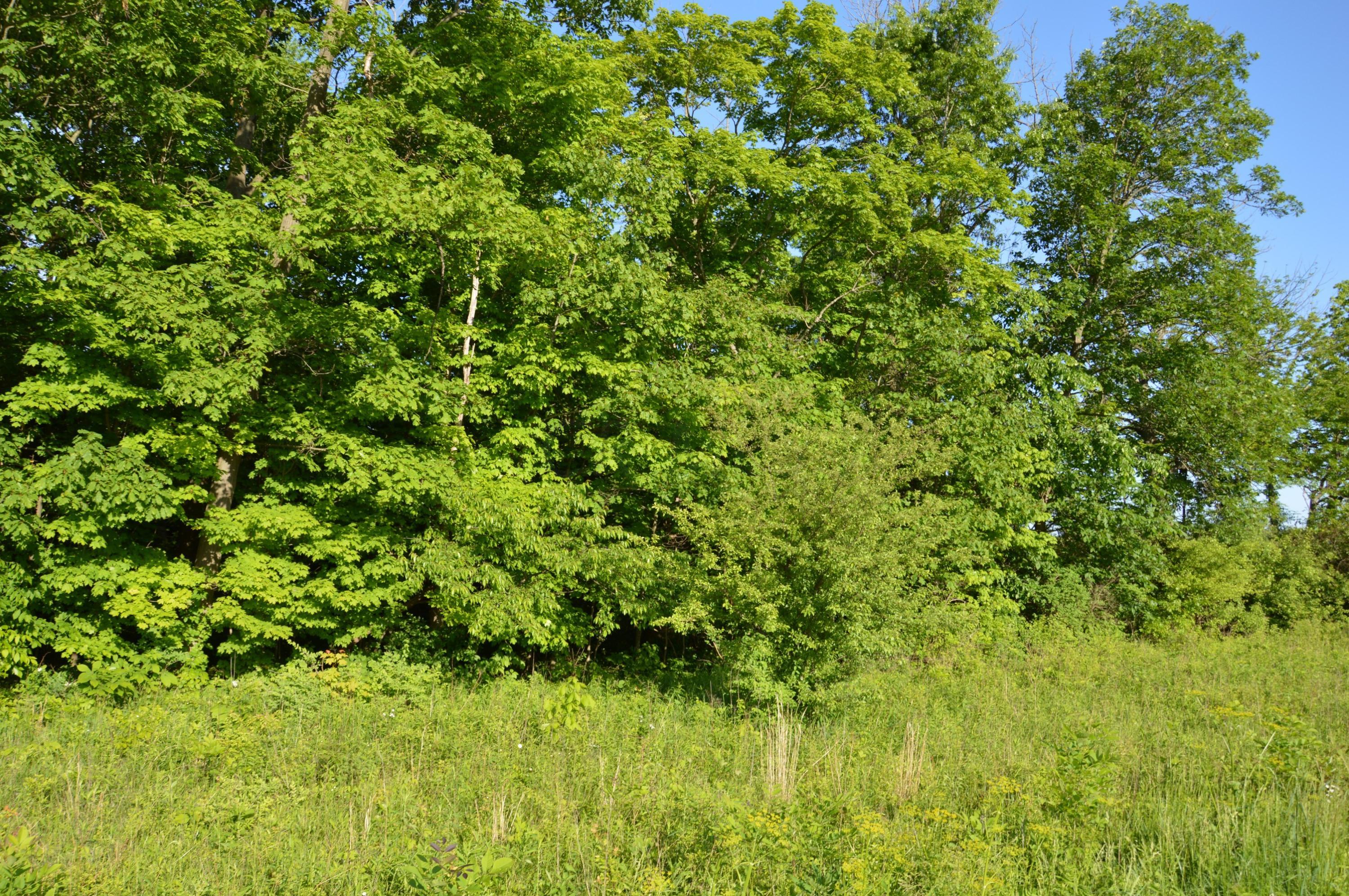 5835 Lake Drive Road Newark, OH 43056 - Photo 7 of 10