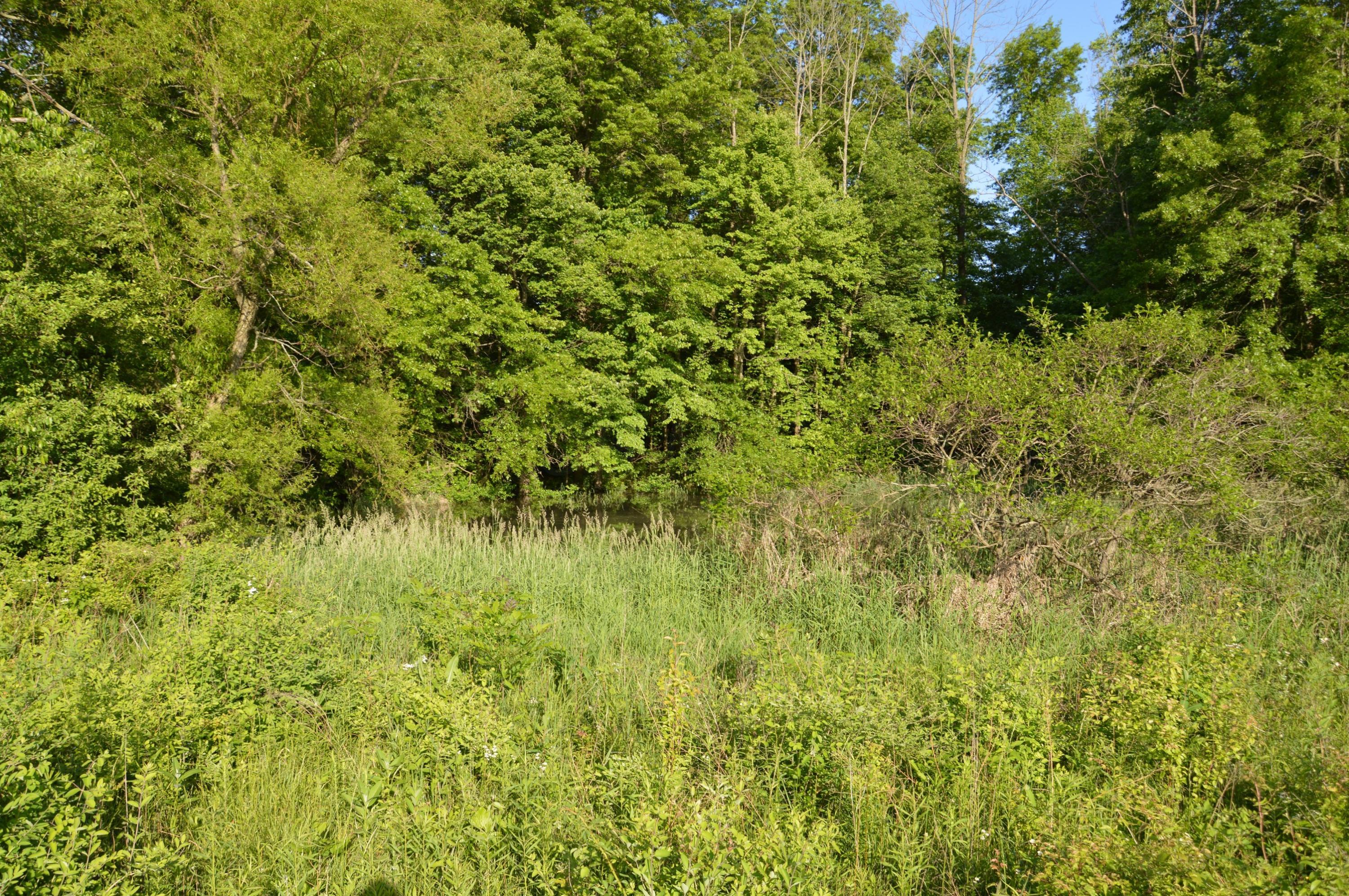 5835 Lake Drive Road Newark, OH 43056 - Photo 8 of 10