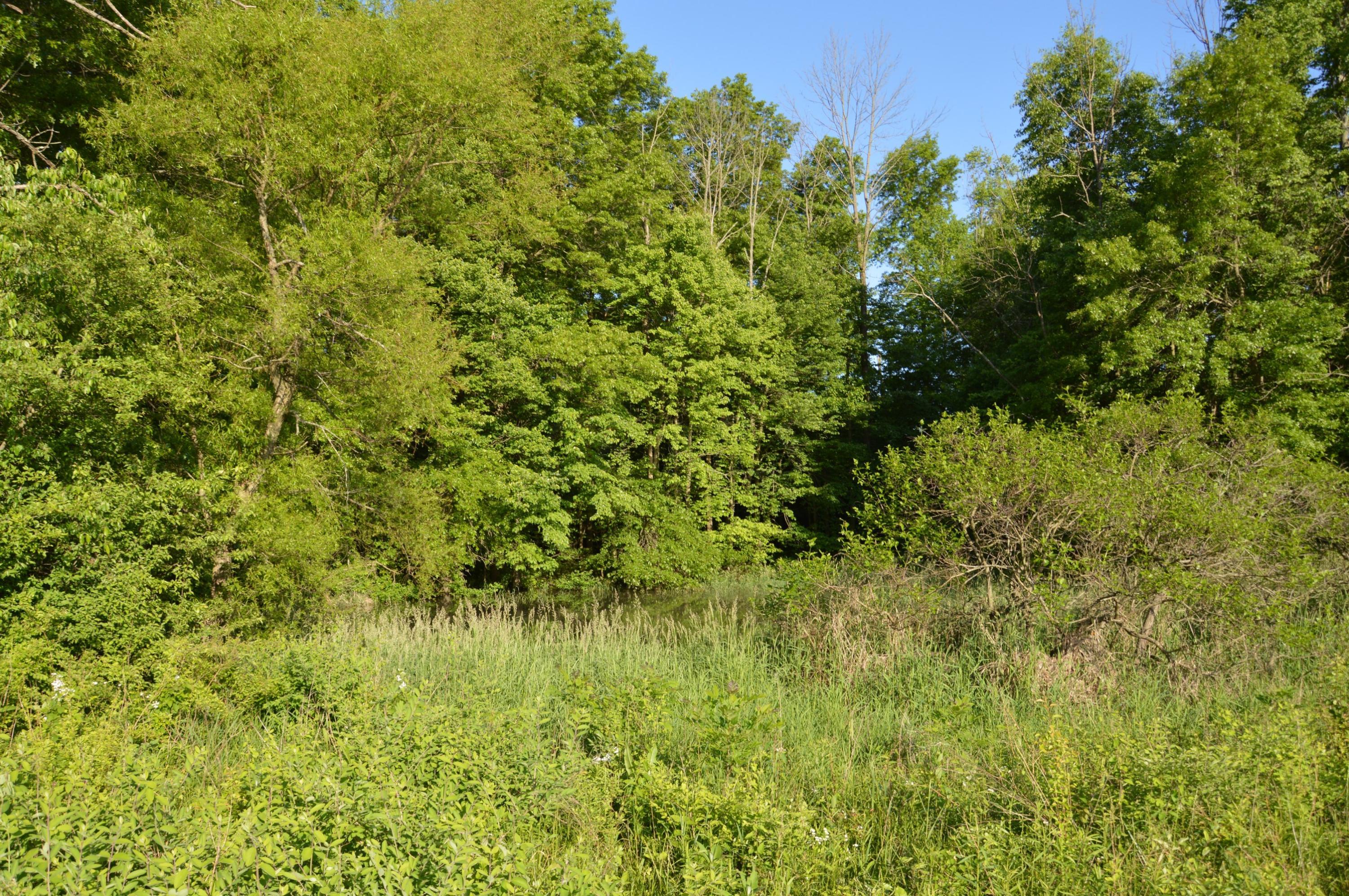 5835 Lake Drive Road Newark, OH 43056 - Photo 9 of 10
