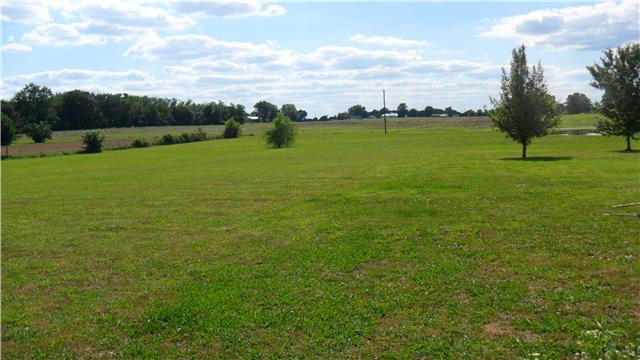 45 East Edan Road Ethridge, TN 38456 - Photo 17 of 19 Gallery Image 17