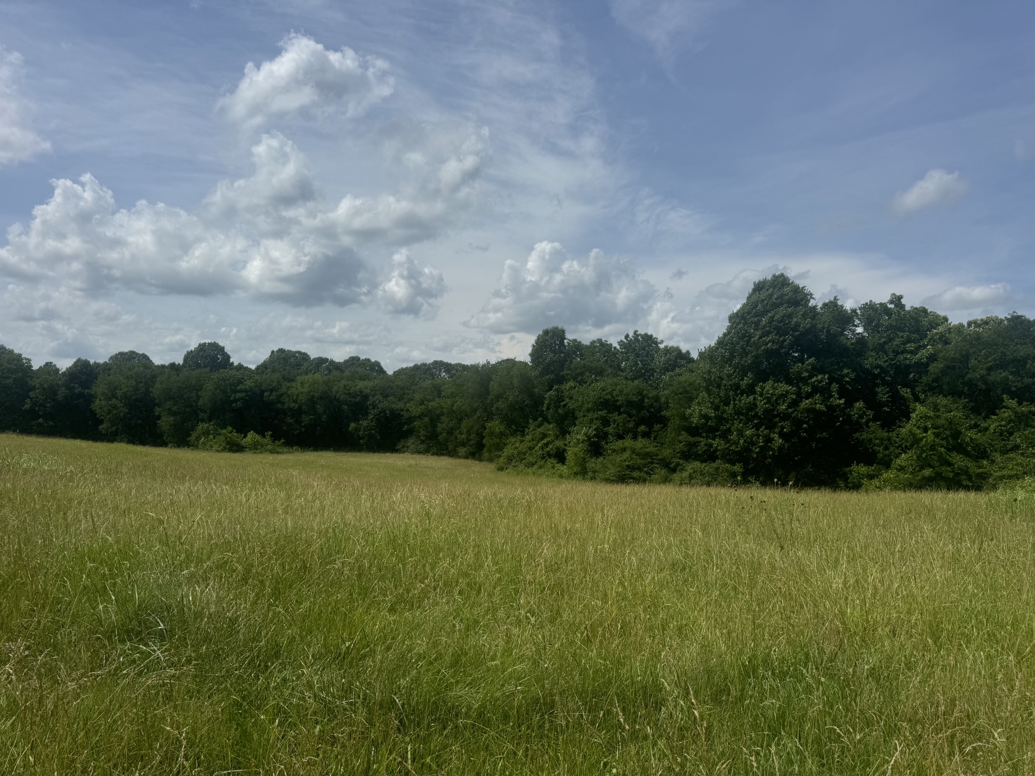 210 Wheel Road Shelbyville, TN 37160 - Photo 16 of 19
