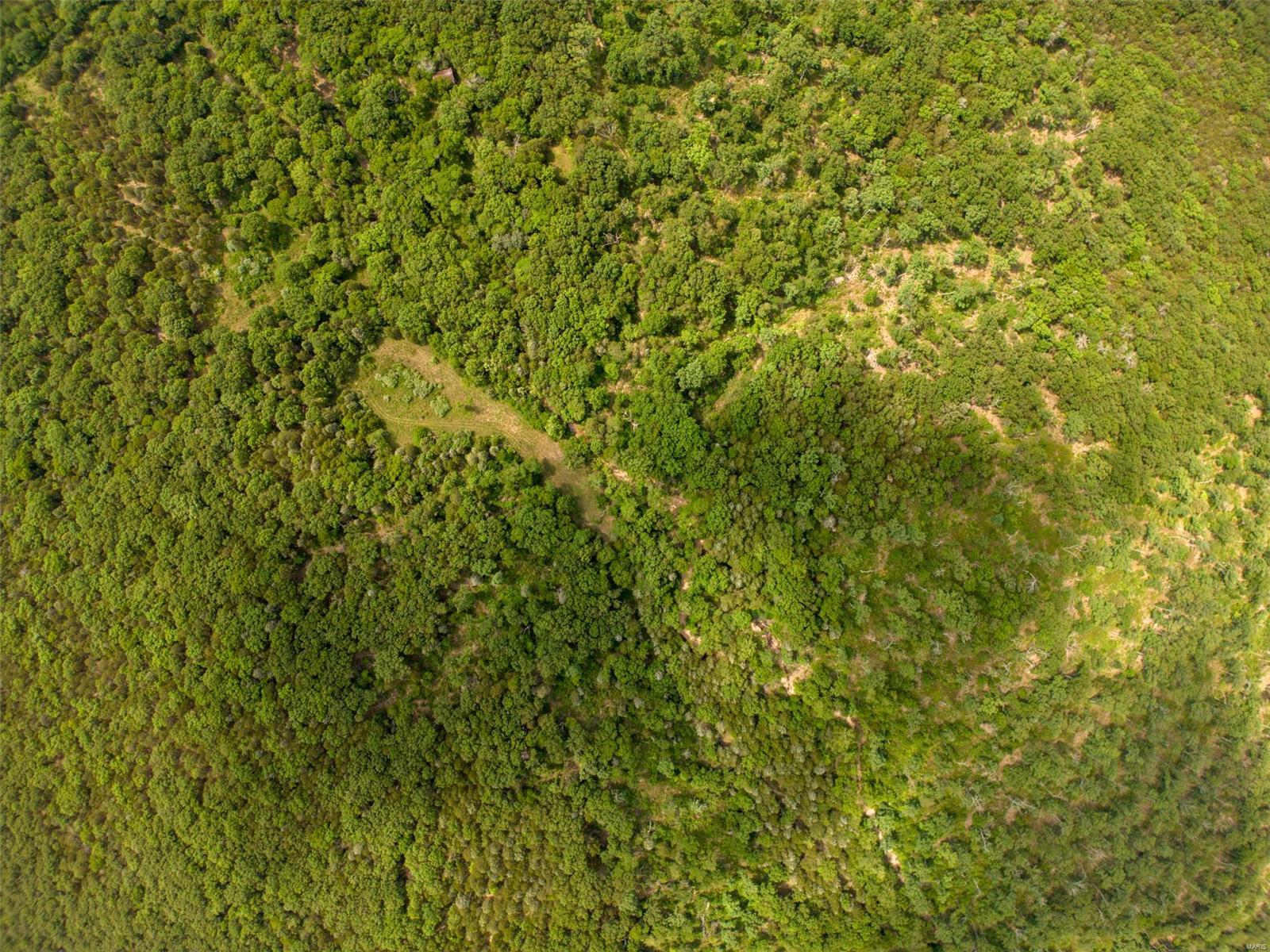 0 Null Highway Belle, MO 65013 - Photo 6 of 7