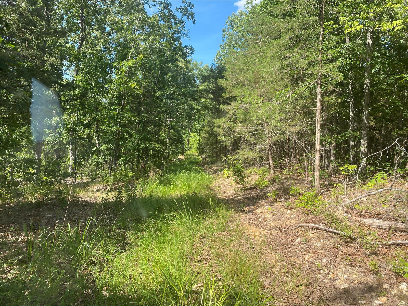 0 Null Highway Belle, MO 65013 - Photo 7 of 7