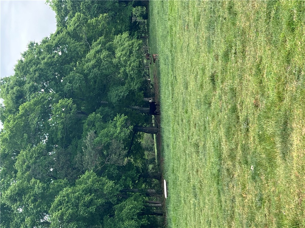 107 Humphrey Wright Road Honea Path, SC 29654 - Photo 21 of 23 Expansive green pasture with a lush tree line, offering a serene pastoral setting.