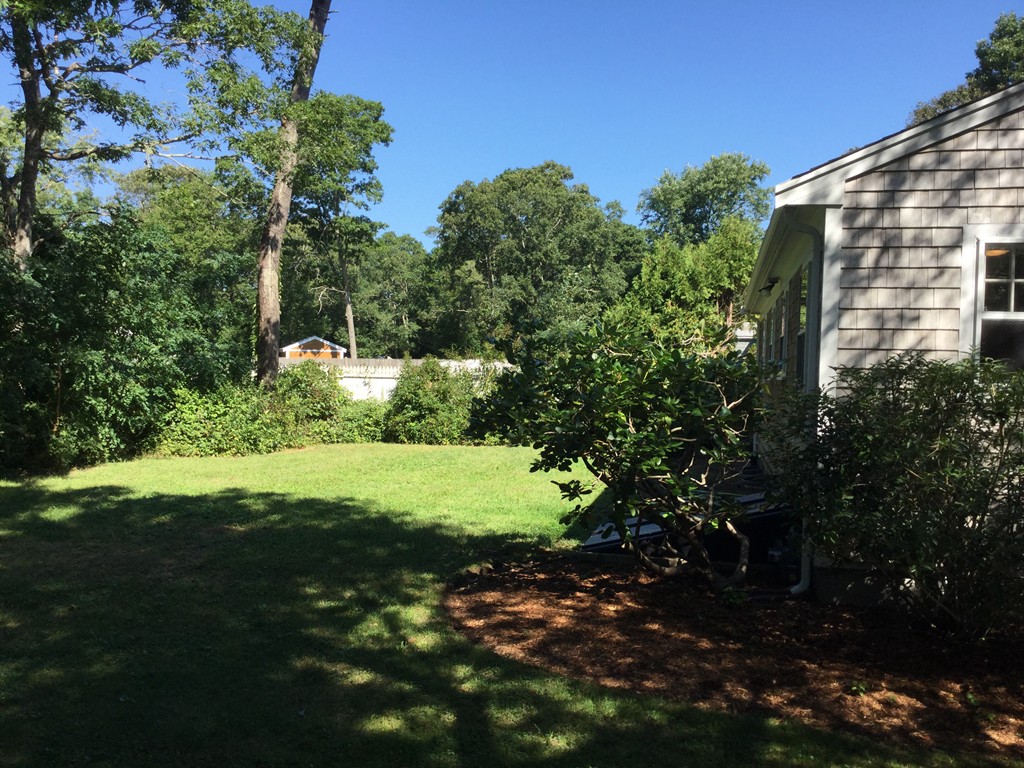 241 Megan Road Barnstable, MA 02601 - Photo 6 of 23 a view of a big yard with plants and large trees