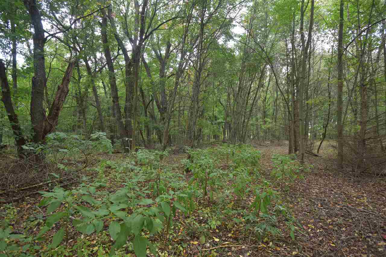 8781 Krouse Road Ovid, MI 48866 - Photo 39 of 39