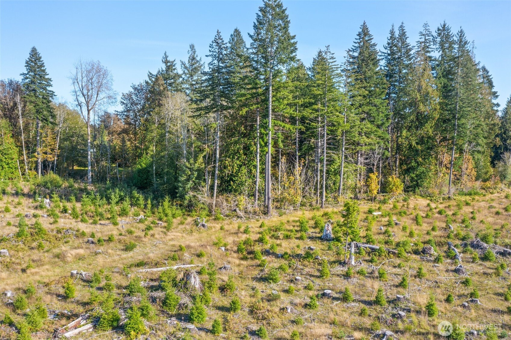 -tr1 West Deckerville Road Matlock, WA 98560 - Photo 4 of 8 Gallery Image 4