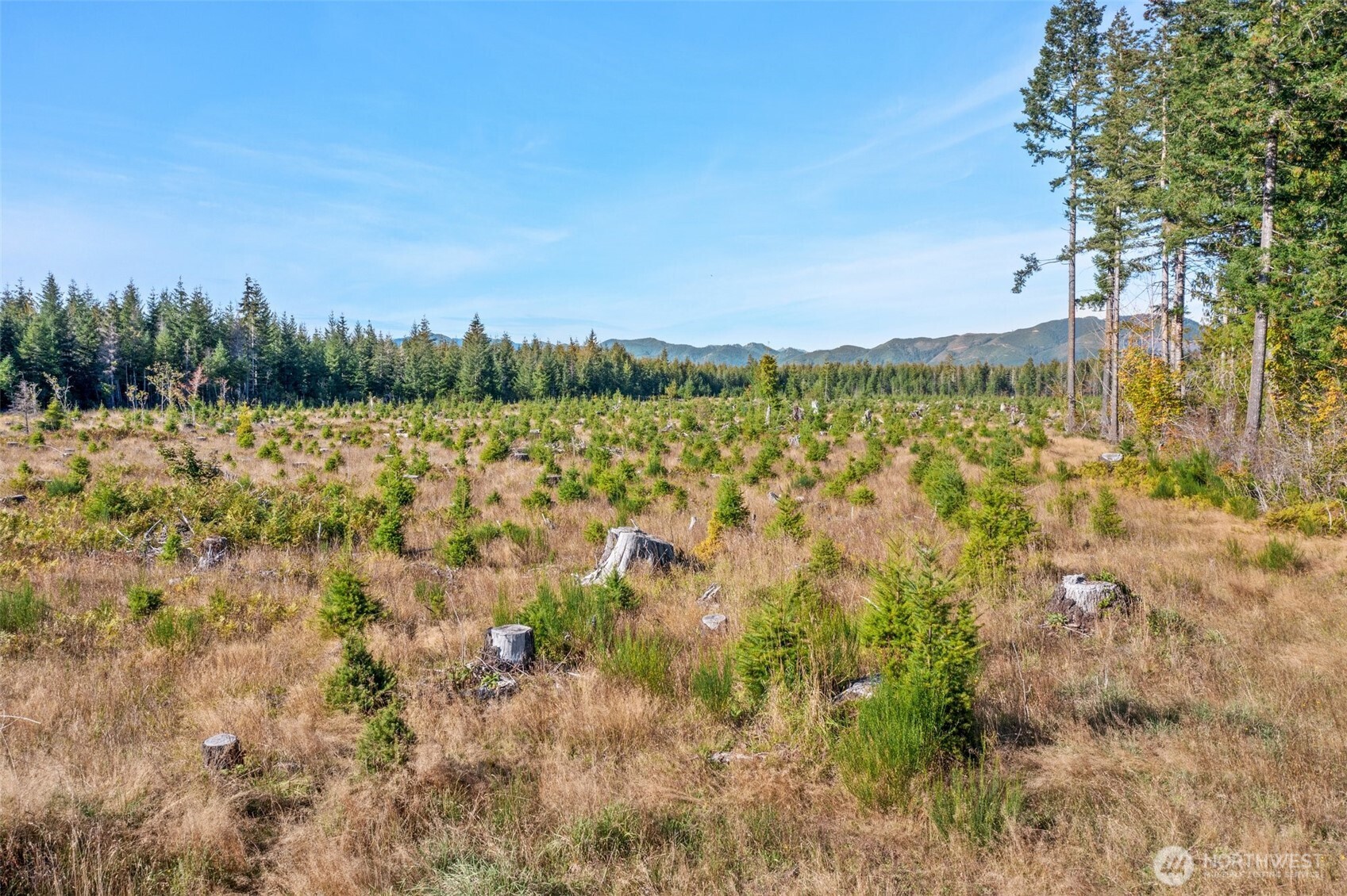 -tr1 West Deckerville Road Matlock, WA 98560 - Photo 5 of 8 Gallery Image 5