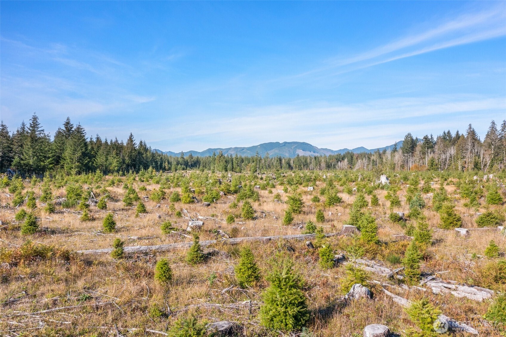 -tr1 West Deckerville Road Matlock, WA 98560 - Photo 7 of 8 Gallery Image 7
