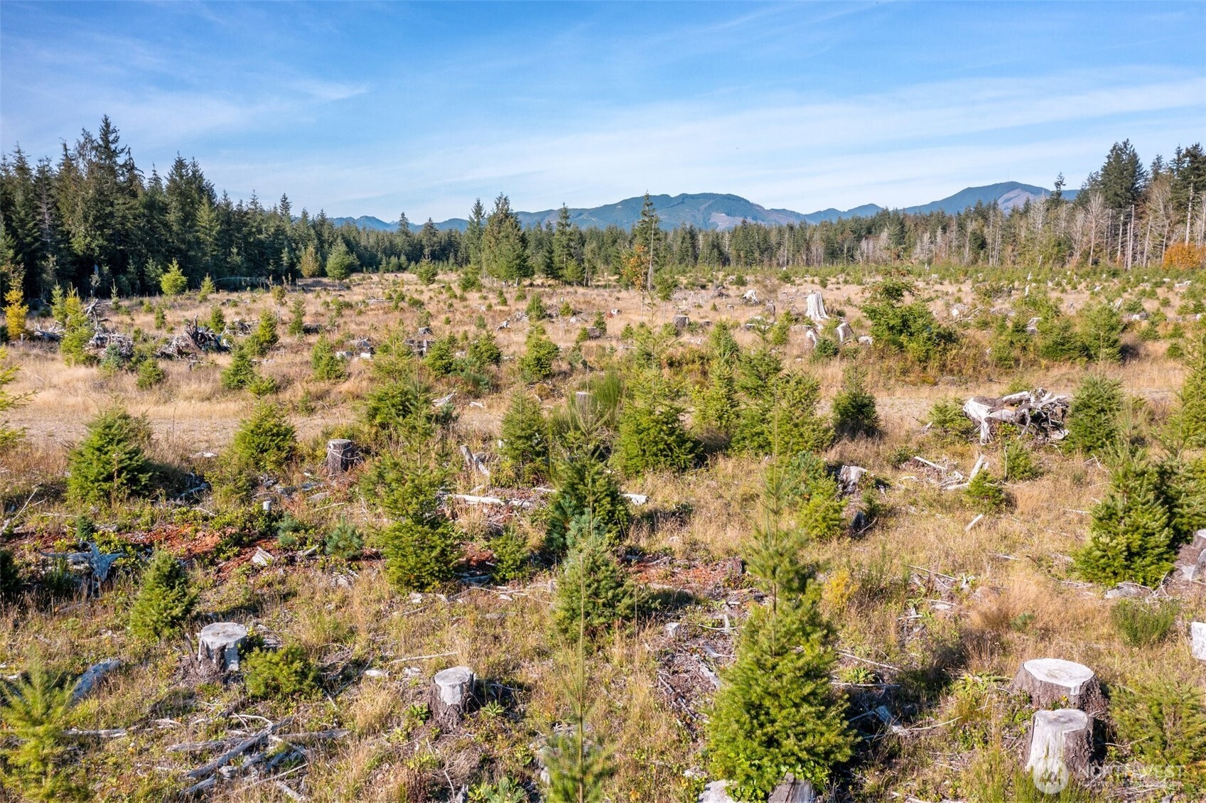 -tr1 West Deckerville Road Matlock, WA 98560 - Photo 8 of 8 Gallery Image 8