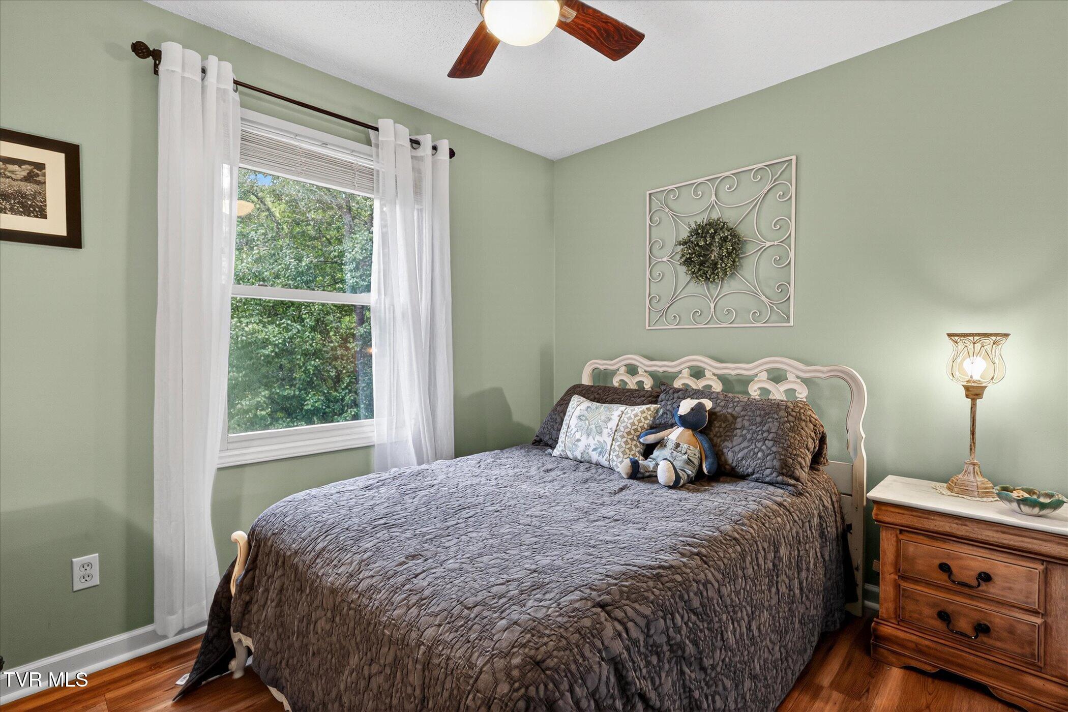 4020 Cooks Inlet Road Kingsport, TN 37664 - Photo 18 of 28 23-4020-Cooks-Inlet-Road-WindowStill