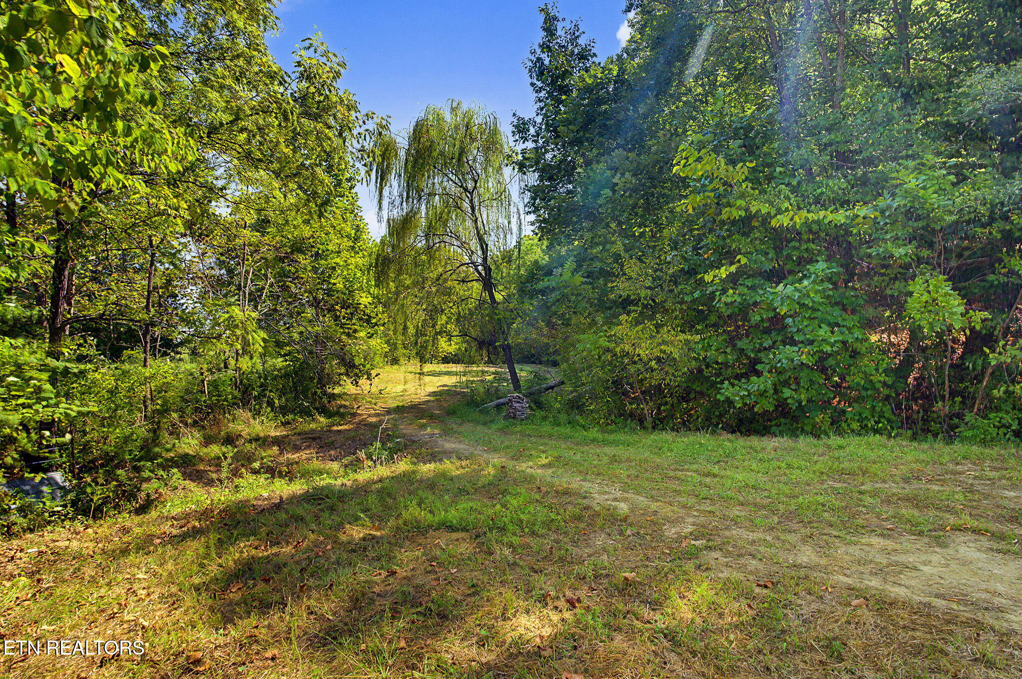 536 Corum Road Knoxville, TN 37924 - Photo 44 of 60 42-web-or-mls-536-corum-rd