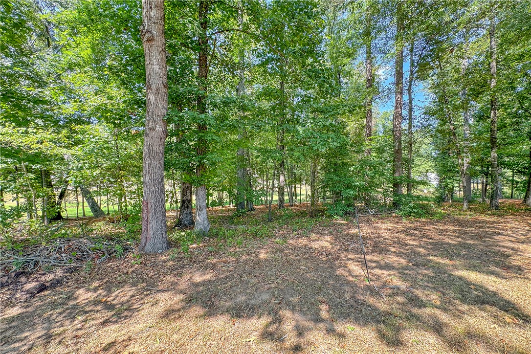 339 Springdale Avenue Liberty, SC 29657 - Photo 17 of 28