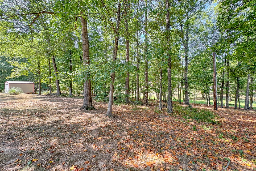 339 Springdale Avenue Liberty, SC 29657 - Photo 18 of 28