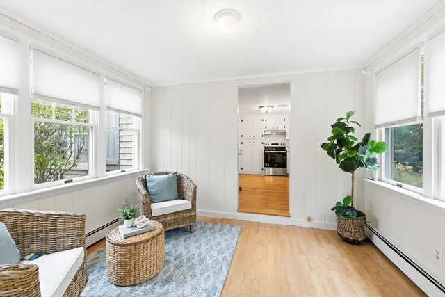 a living room with furniture and a potted plant