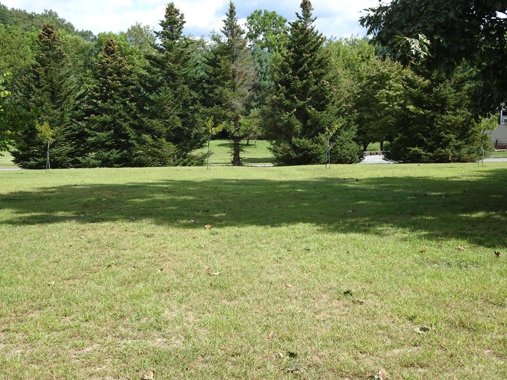 16907 Michele Road Todd, PA 16685 - Photo 13 of 20 Gallery Image 13