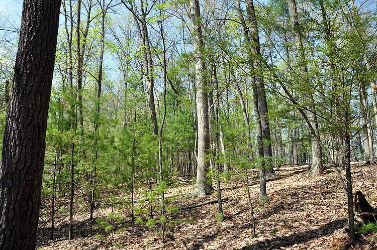 100 Baker Mountain Road Union, WV 24983 - Photo 38 of 52 Gallery Image 38