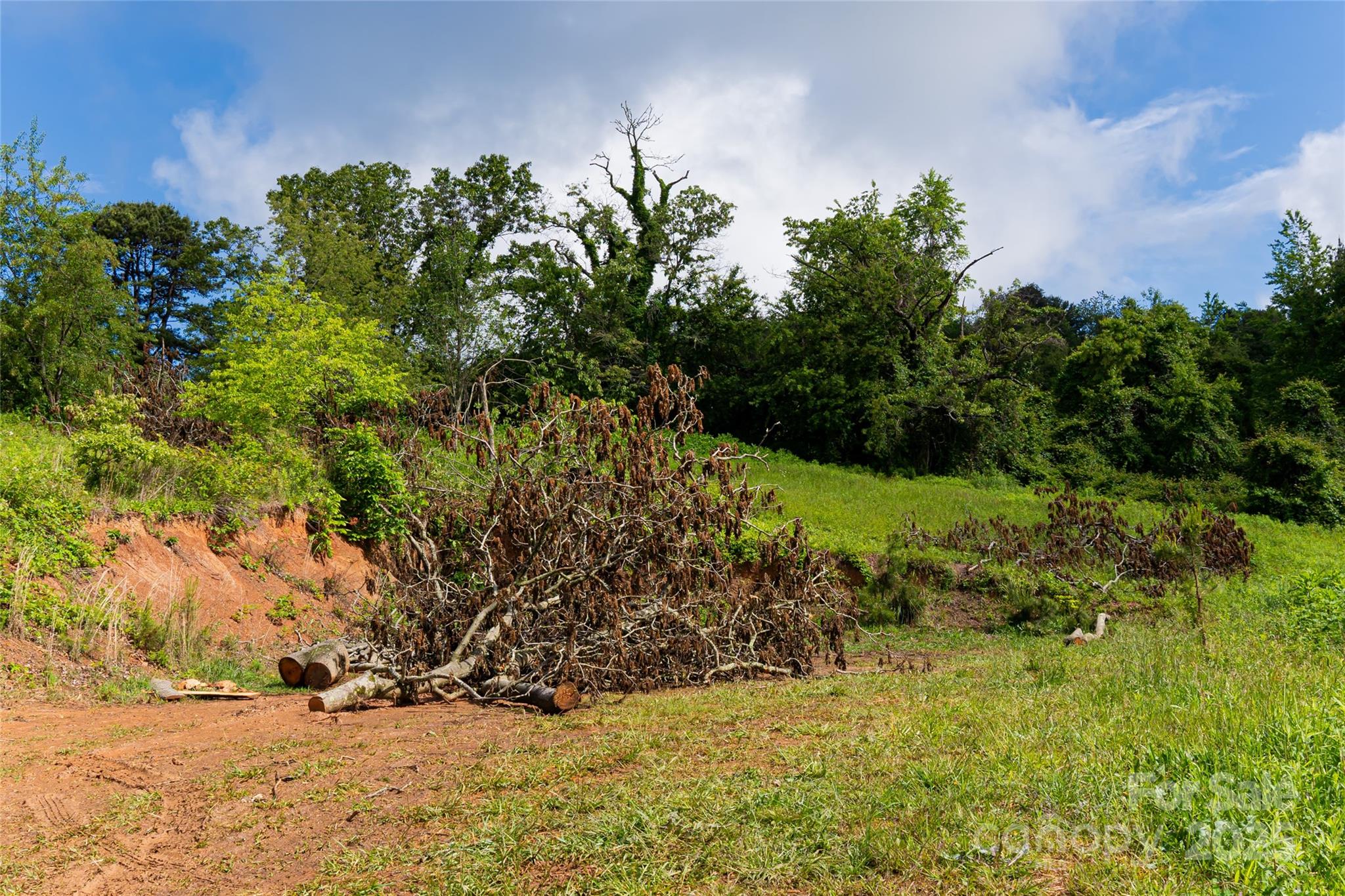 193 Brickyard Road Asheville, NC 28806 - Photo 8 of 21 Gallery Image 8