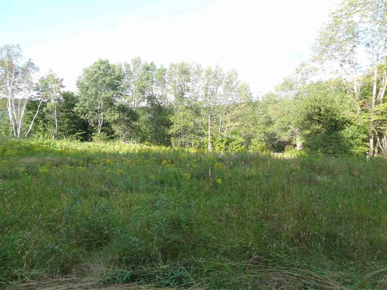 18 Patch Hill Road Mount Holly, VT 05730 - Photo 2 of 5 Gallery Image 2