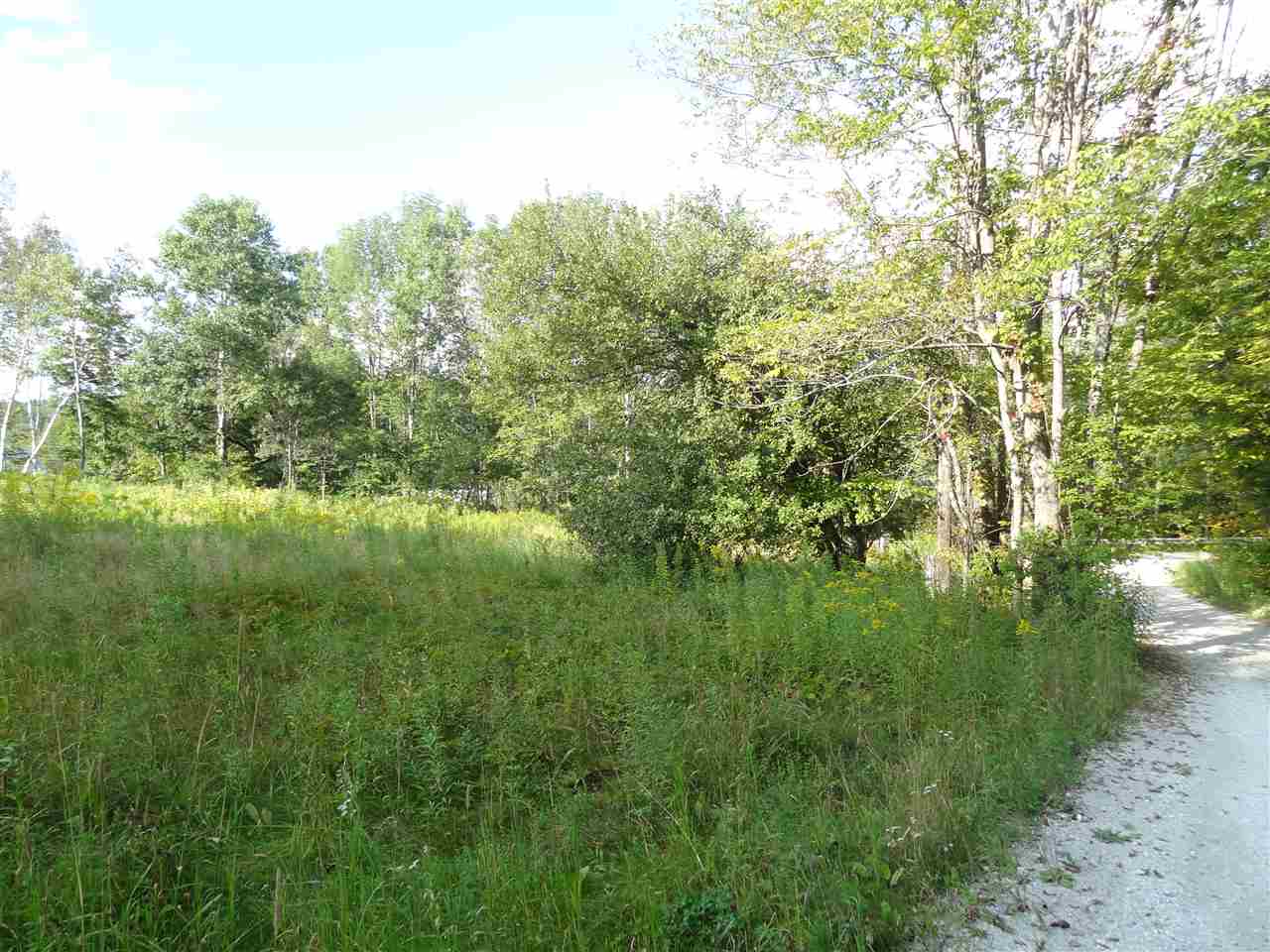 18 Patch Hill Road Mount Holly, VT 05730 - Photo 3 of 5 Gallery Image 3