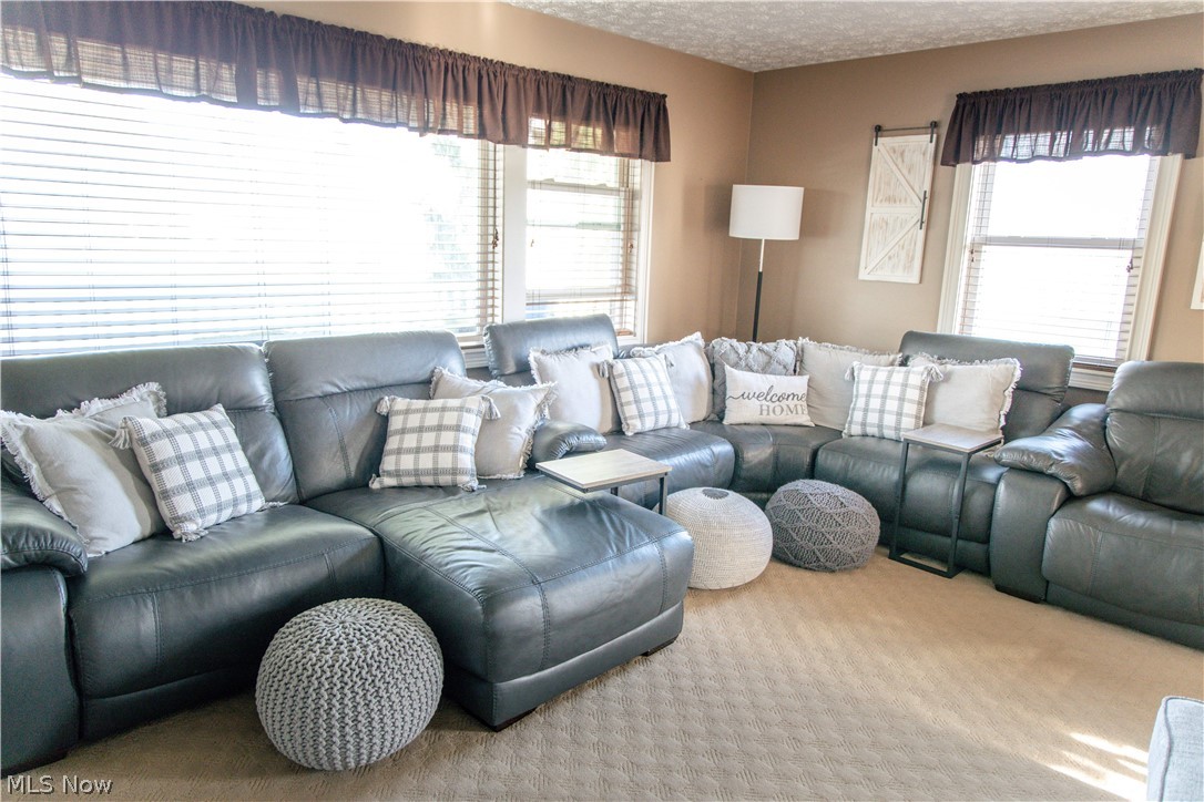 4750 Turney Road Madison, OH 44057 - Photo 9 of 42 Carpeted living room with a healthy amount of sunlight