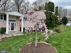 $799,900 | 6125 Beech Tree Drive, Alexandria, VA 22310