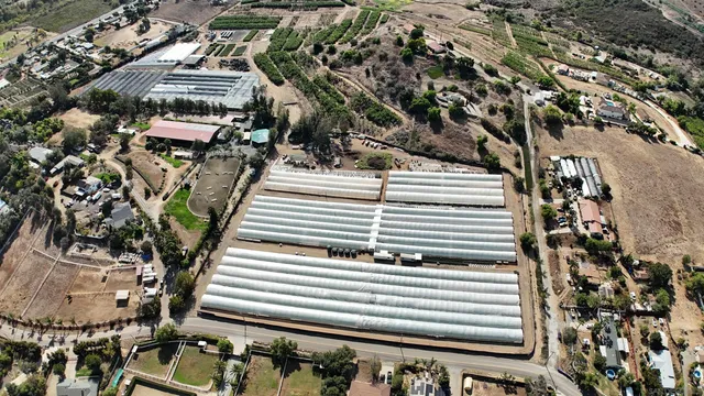 a view of a patio with table and chairs with wooden fence and plants
