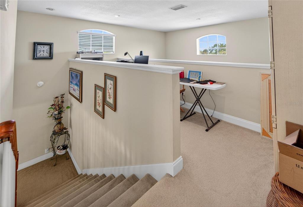 901 Shagos Drive Apollo Beach, FL 33572 - Photo 41 of 82