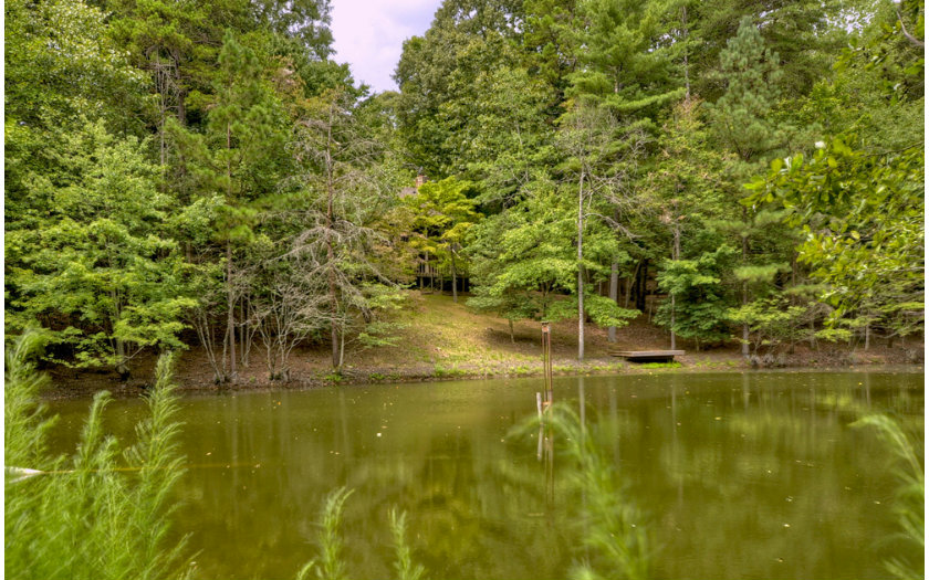 184 Misty Hollow Road Ellijay, GA 30536 - Photo 1 of 1 Main View