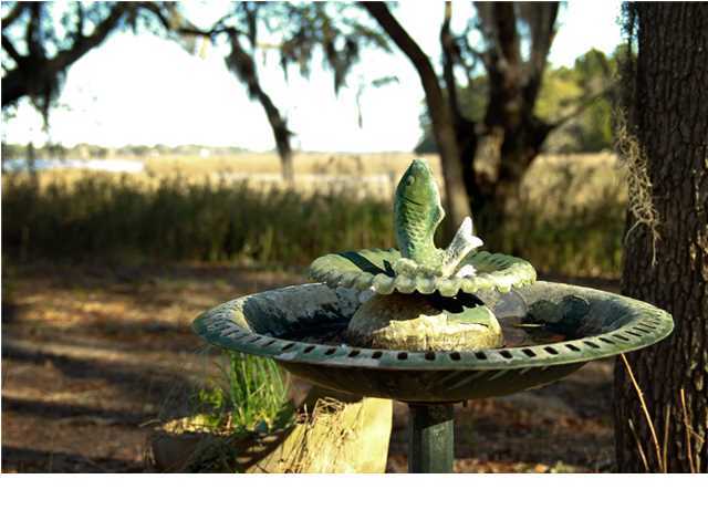 1348 Polly Point Road Wadmalaw Island, SC 29487 - Photo 19 of 24 Additional Photo