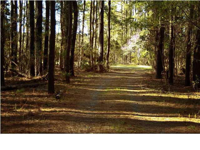 1348 Polly Point Road Wadmalaw Island, SC 29487 - Photo 21 of 24 Additional Photo