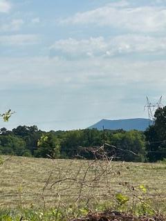 Lot 1 Quarry Road Benton, TN 37307 - Photo 5 of 13 20240702234833004420000000-o