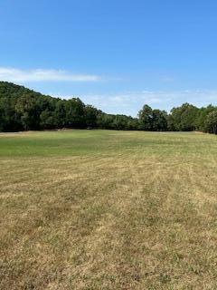 Lot 1 Quarry Road Benton, TN 37307 - Photo 8 of 13 20240702234838226613000000-o