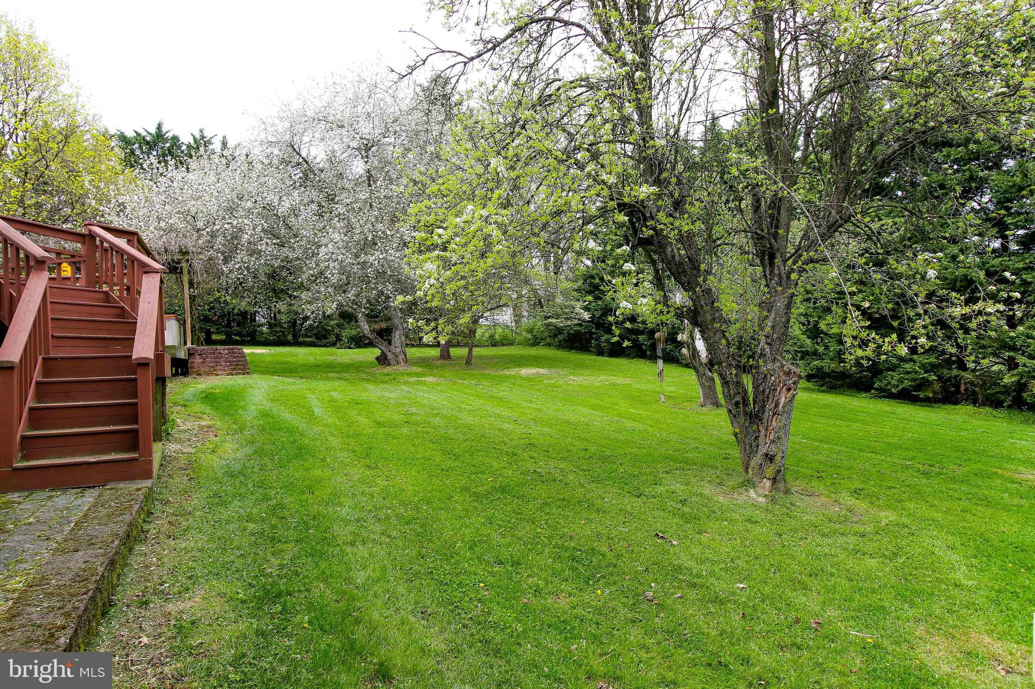 628 Stone Road Westminster, MD 21158 - Photo 52 of 56 Gallery Image 52
