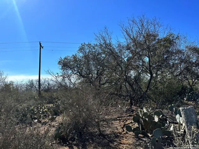 a view of a house with a tree