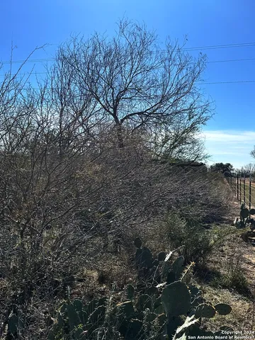 a view of a yard with a tree