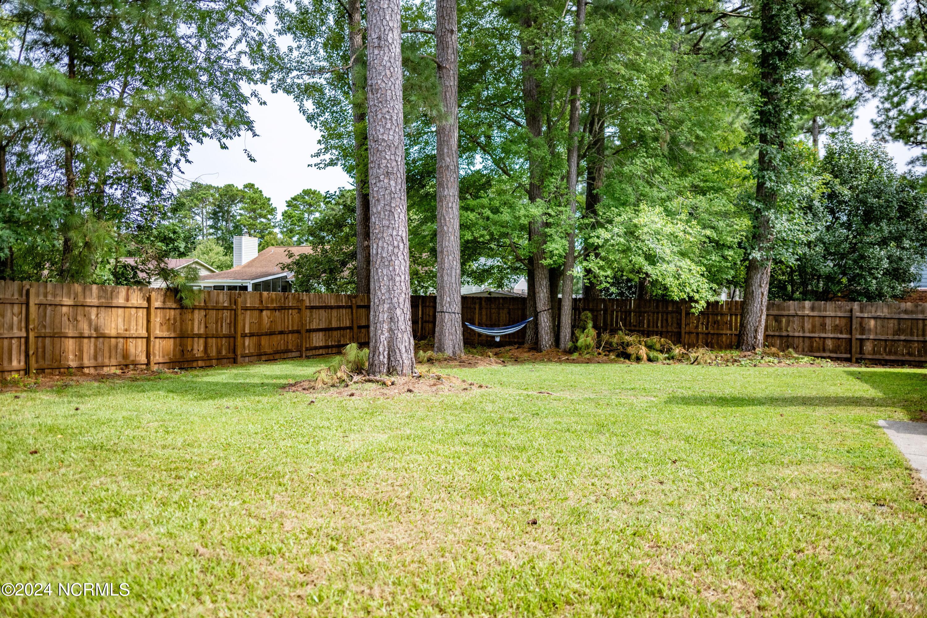 110 Silver Leaf Drive Jacksonville, NC 28546 - Photo 28 of 31 BEL_5890