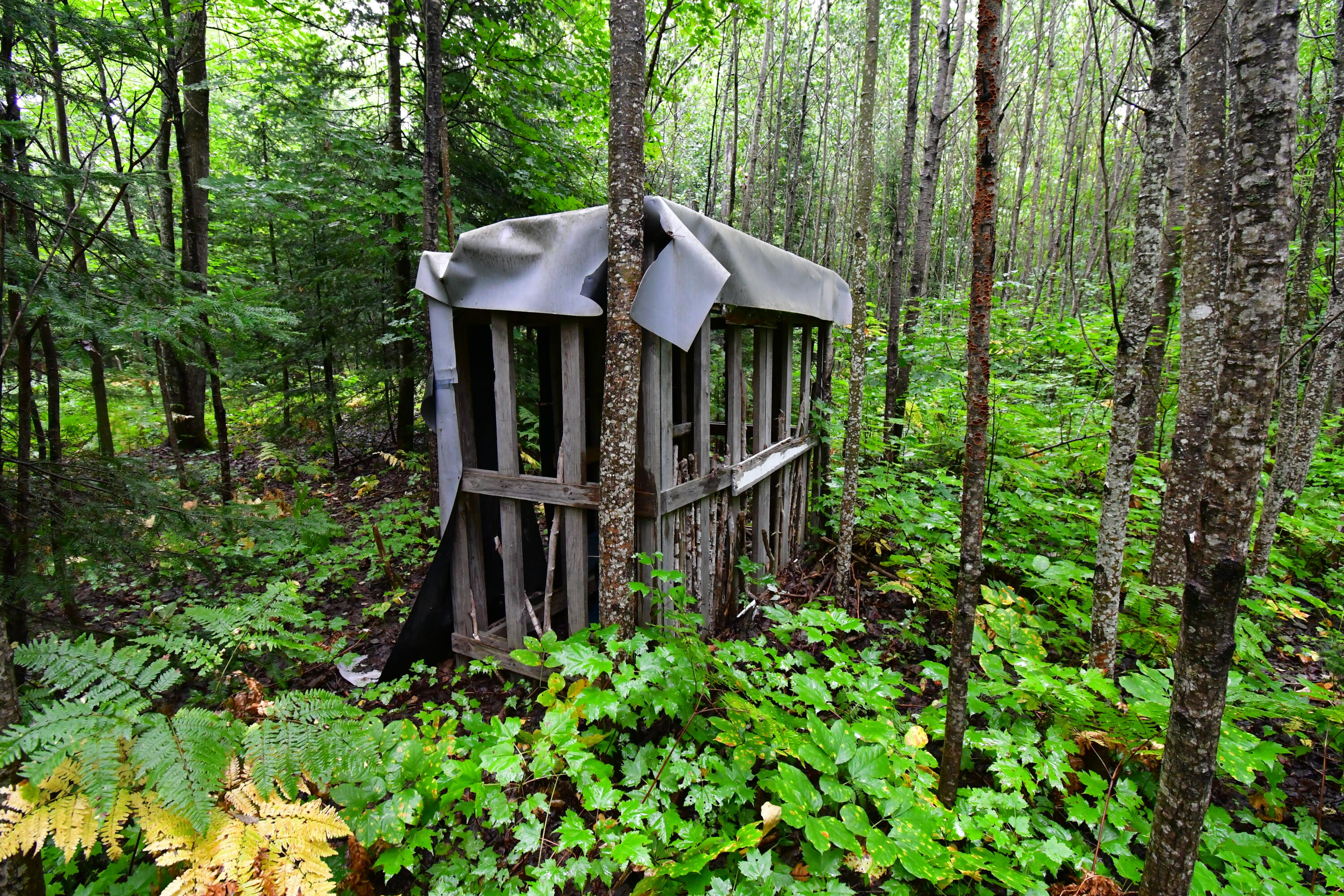 23 East 23 Mile Road Pickford, MI 49774 - Photo 43 of 47 Gallery Image 43