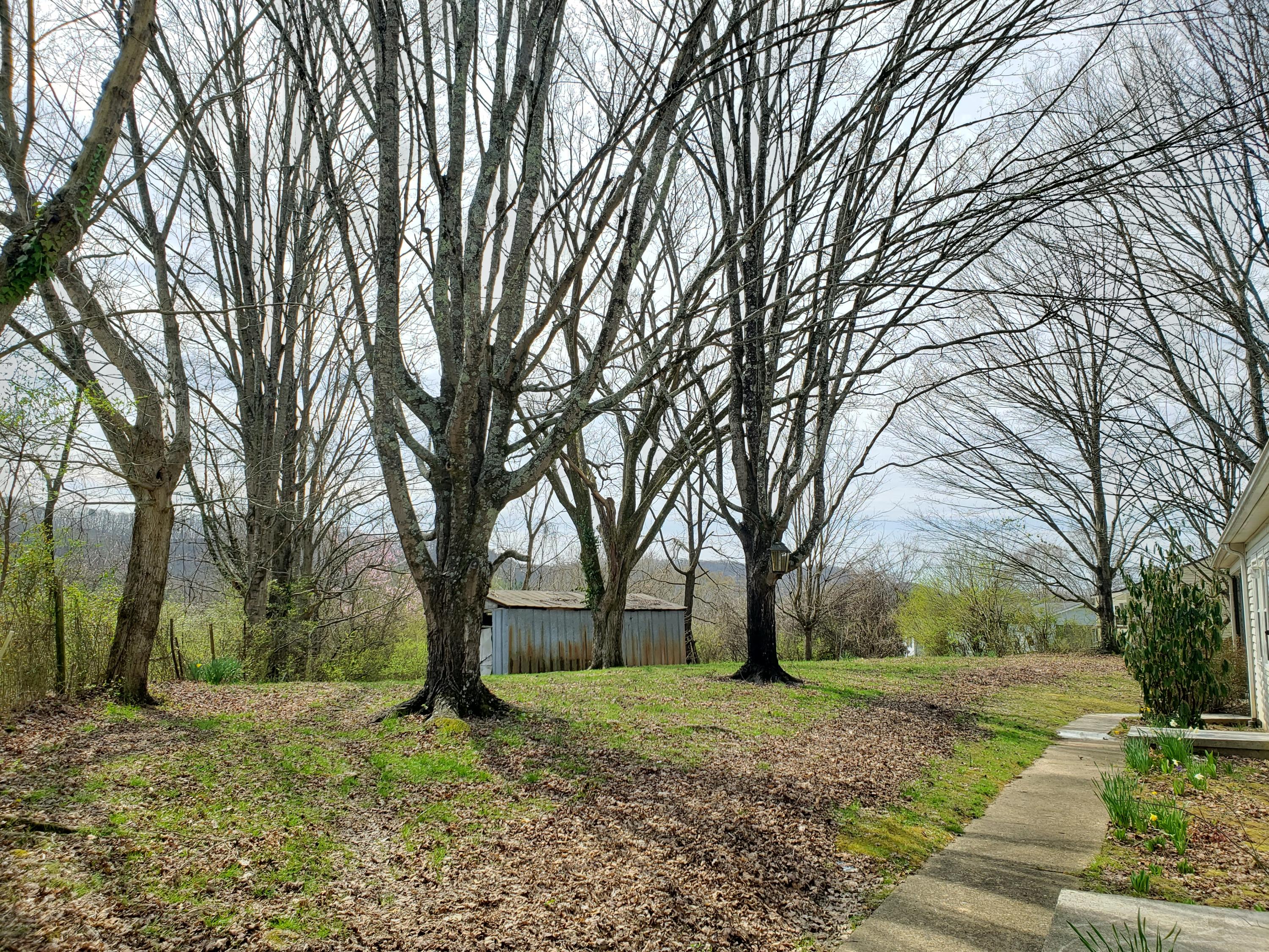 431 Robertsville Road Oak Ridge, TN 37830 - Photo 23 of 26 Backyard