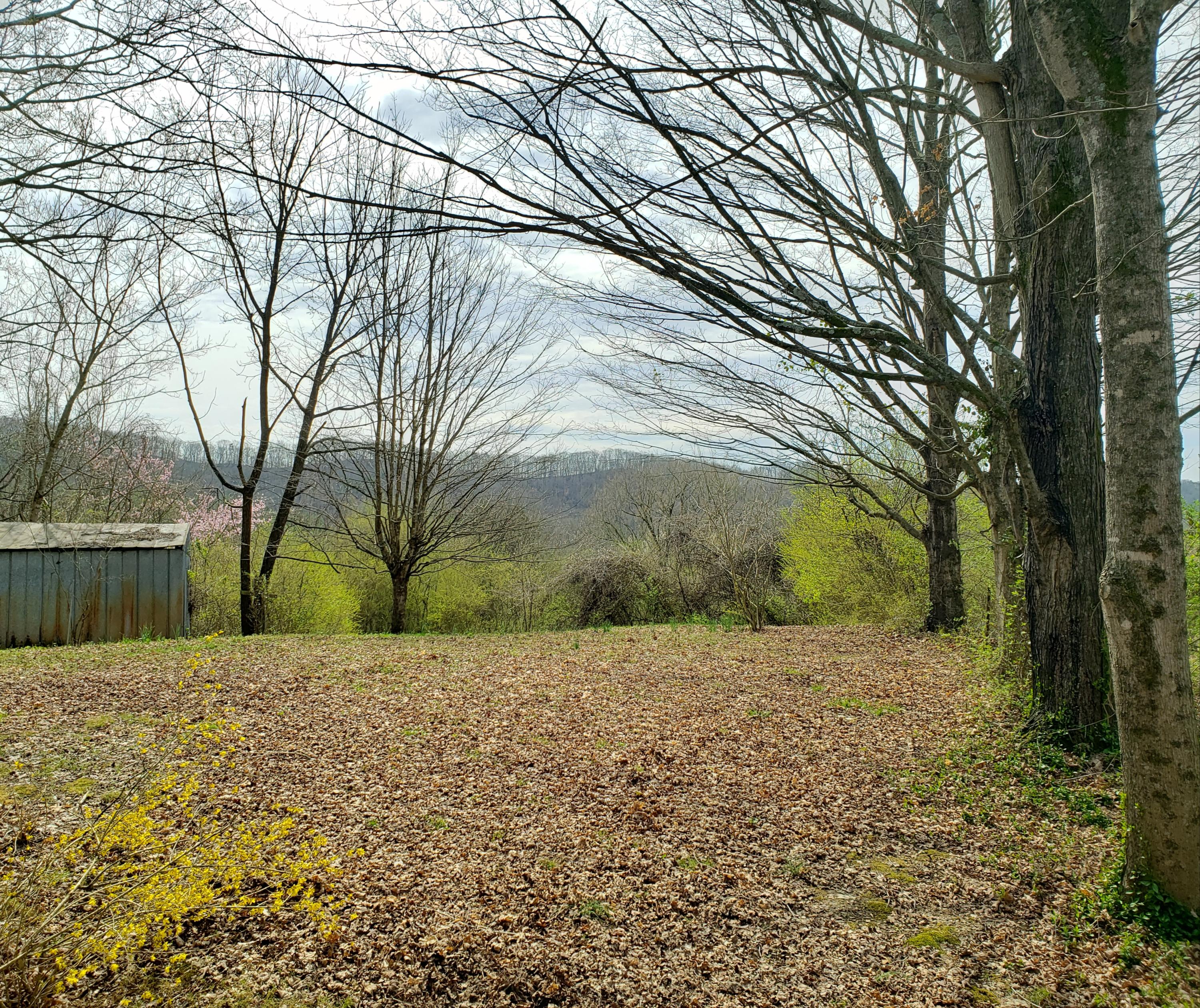 431 Robertsville Road Oak Ridge, TN 37830 - Photo 24 of 26 Backyard