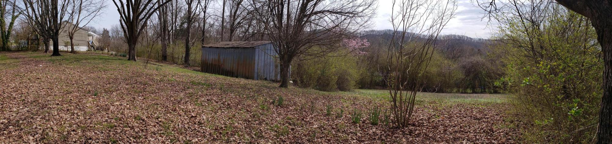 431 Robertsville Road Oak Ridge, TN 37830 - Photo 26 of 26 Back Views