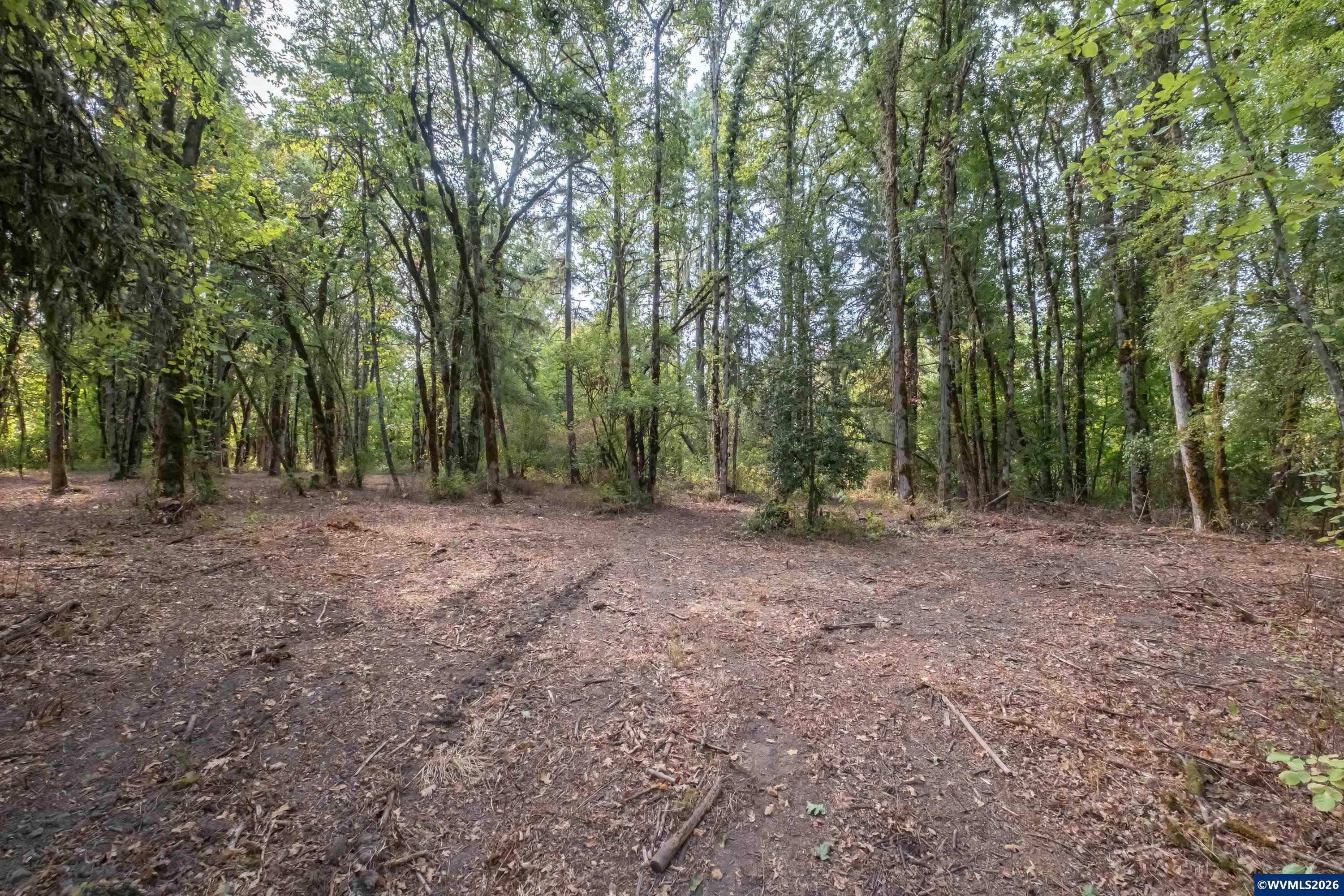 Pp2020-49 Lot#2 North Pp2020-49 Road Albany, OR 97321 - Photo 17 of 36