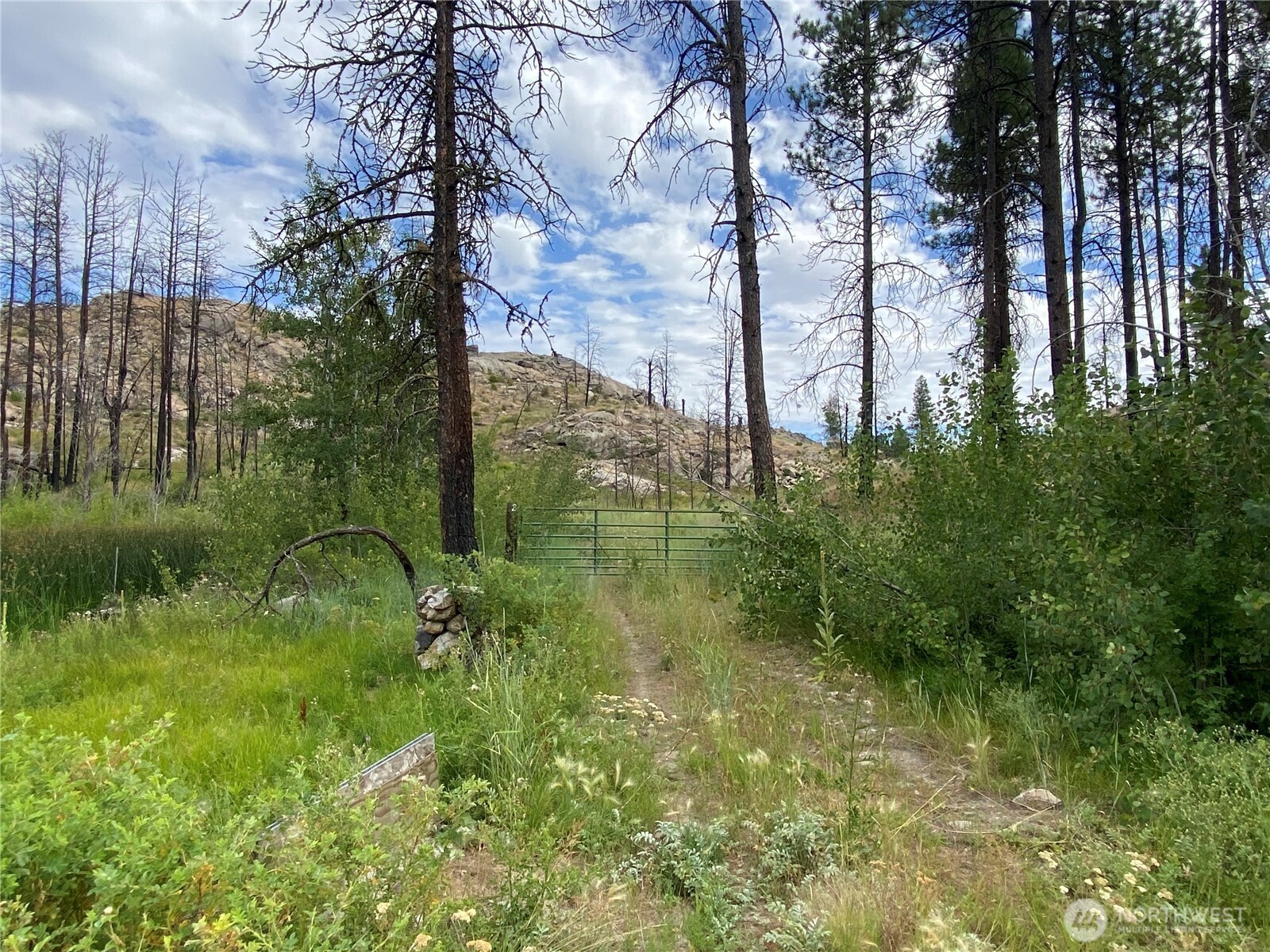 6 Madd Mountain Road Okanogan, WA 98840 - Photo 11 of 29 Gallery Image 11