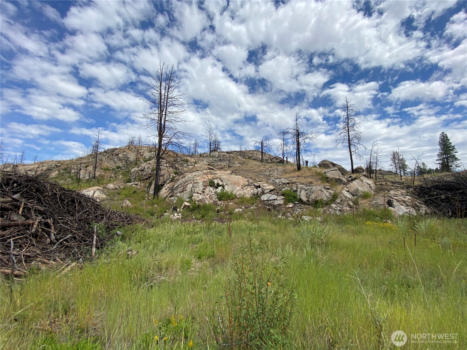 6 Madd Mountain Road Okanogan, WA 98840 - Photo 12 of 29 Gallery Image 12