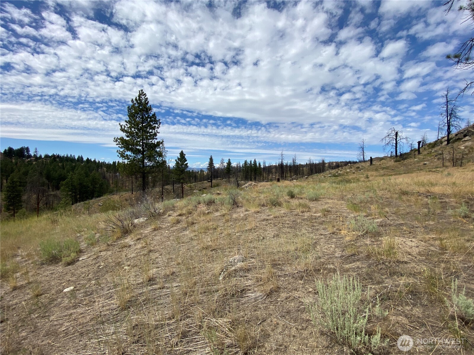 6 Madd Mountain Road Okanogan, WA 98840 - Photo 16 of 29 Gallery Image 16