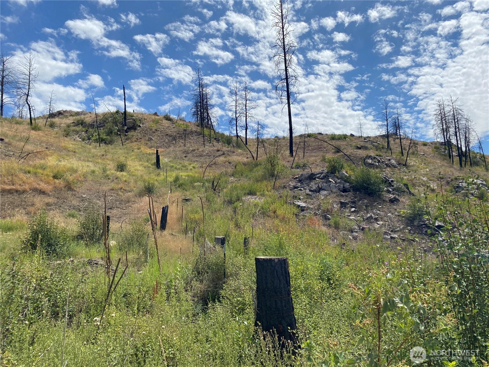 6 Madd Mountain Road Okanogan, WA 98840 - Photo 19 of 29 Gallery Image 19