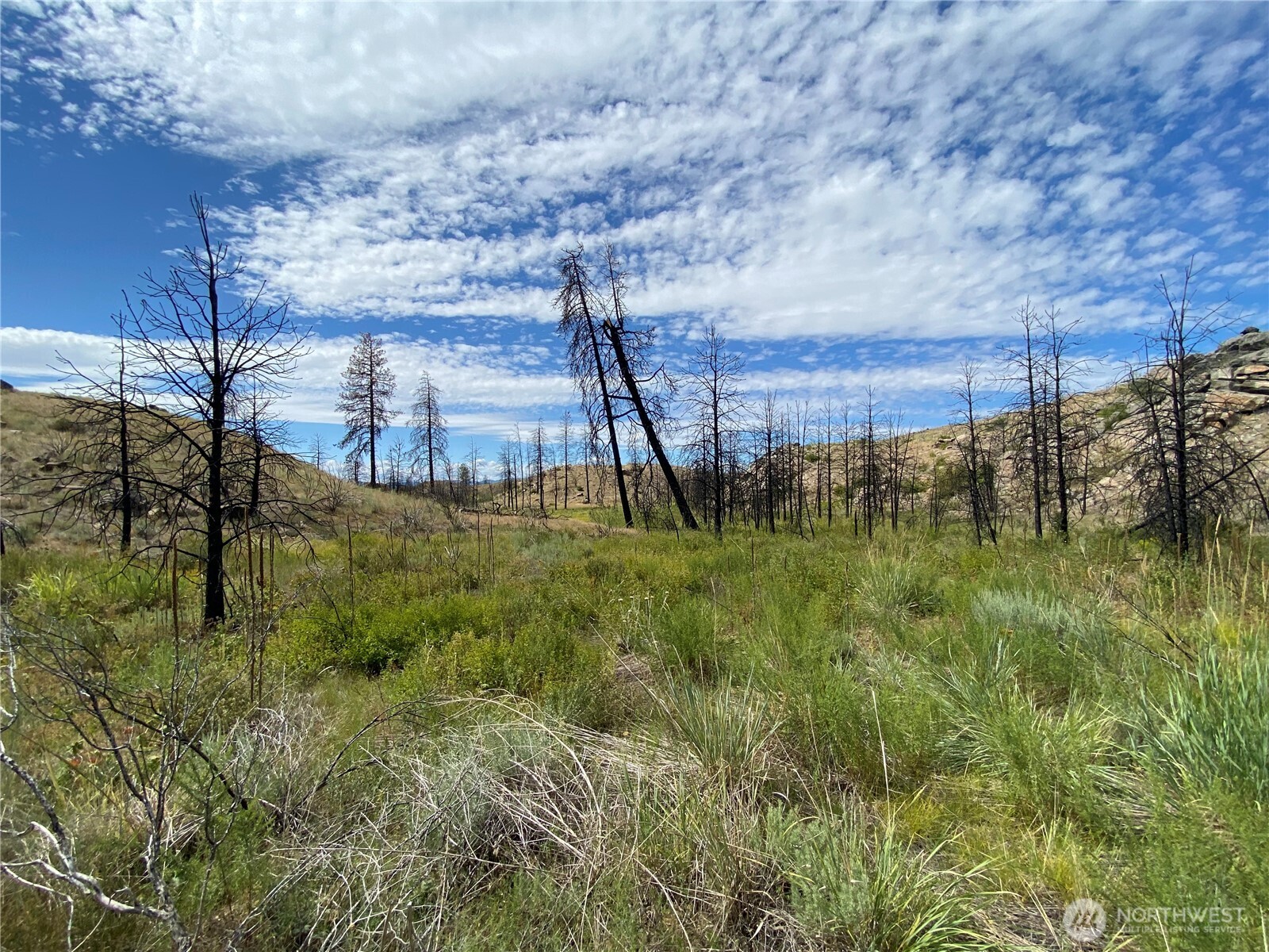 6 Madd Mountain Road Okanogan, WA 98840 - Photo 23 of 29 Gallery Image 23