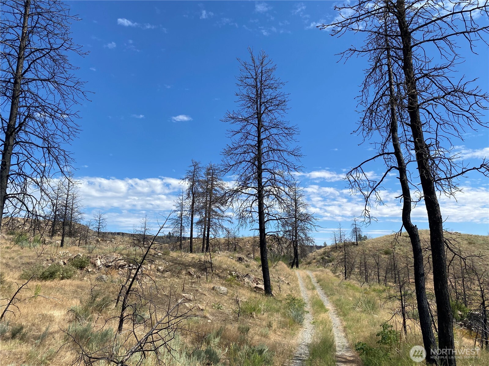 6 Madd Mountain Road Okanogan, WA 98840 - Photo 28 of 29 Gallery Image 28
