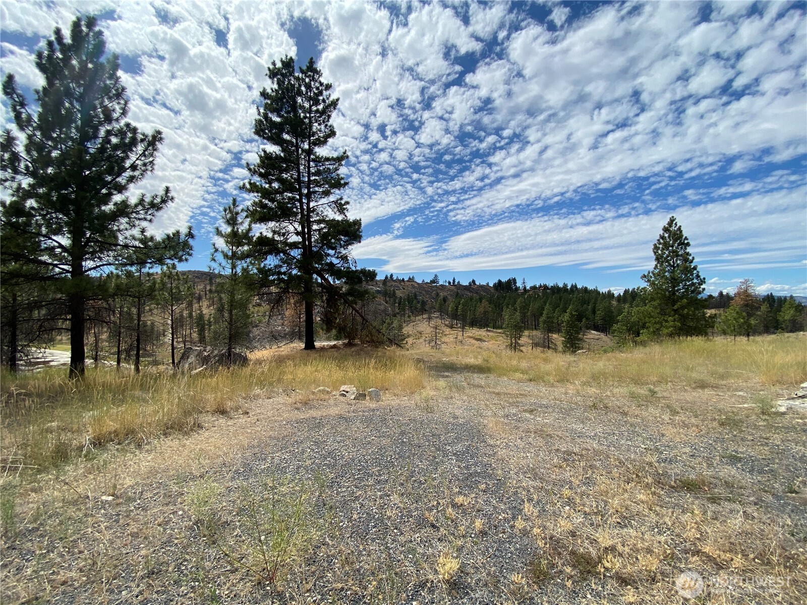 6 Madd Mountain Road Okanogan, WA 98840 - Photo 3 of 29 Gallery Image 3